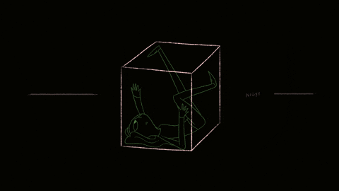 niufy giphyupload loop box rolling GIF
