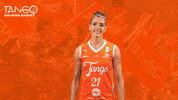 Basketball Shoe GIF by Tango Bourges Basket