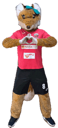 Handball Sticker by ihr-gutachten.com