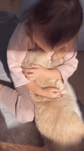 cuteanimalland giphyupload GIF