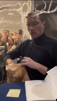 Oeuf GIF by systaime