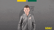 Fan Supporter GIF by Fortuna Sittard