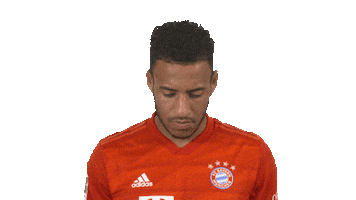 Fc Bayern Smiling Sticker by Bundesliga