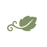 Leaf Vine Sticker by Destin Charity Wine Auction Foundation