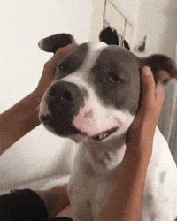 ecstasy GIF