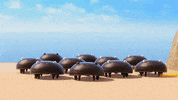 Les As De La Jungle GIF by tatprod