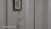 Friends Houseparty GIF by shallow pools