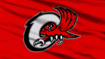 OoltewahOwls owls ooltewah bigrednation GIF