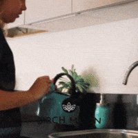 birchmoon tea tea time tea cup chaga GIF