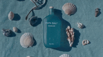 PapaSalt dance music party summer GIF