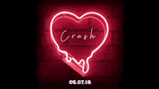 Topdoggroup crush rachael fahim top dog aus GIF