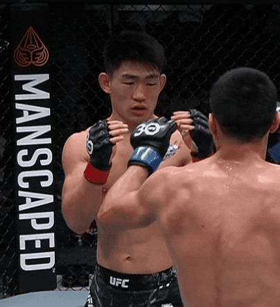 giphy.gif