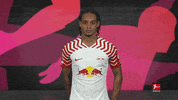 No Way Football GIF by Bundesliga