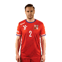 Ceska Hazena Sticker by Czech Handball