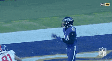 Regular Season Football GIF by NFL