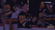Ice Hockey Applause GIF by NHL