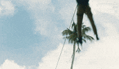 Zoom Zipline GIF by Death In Paradise