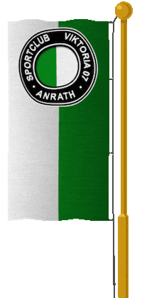 Soccer Tor Sticker by SC Viktoria Anrath