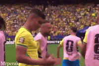 Real Madrid Fan GIF