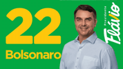 Bolsonaro Flavio GIF by MarinaHelenaBR