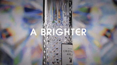 Fun Celebrate GIF by Milagro Tequila