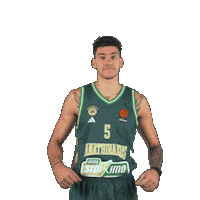 Pao Pana Sticker by Panathinaikos BC