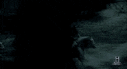 tv show ragnar lothbrok GIF by Vikings on HISTORY