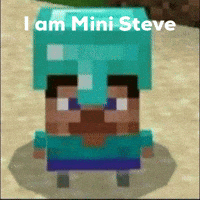 Steve GIF