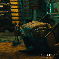 GIF by John Wick: Chapter 3 - Parabellum