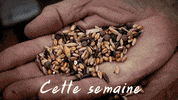 chezperrette  GIF