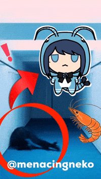 Art Shrimp GIF
