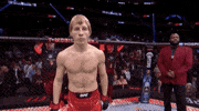 Sport GIF by UFC