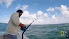 wicked tuna GIF by National Geographic Channel
