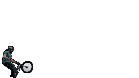 Tailwhip Sticker by Dan's Comp BMX