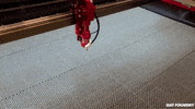 OatFoundry  GIF
