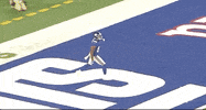 New York Giants Football GIF by NFL