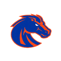 Idaho Blue Turf Sticker by Boise State Broncos