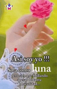 Rosa Asi Soy Yo GIF by Murcianys LLC