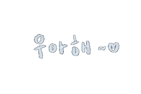 세븐틴 Carat Sticker