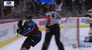 happy ice hockey GIF by NHL