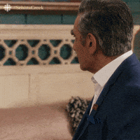 canadian what GIF by CBC