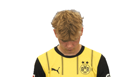 Look Up Borussia Dortmund Sticker by Bundesliga