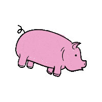 Pig Farm Sticker by ISUExtension