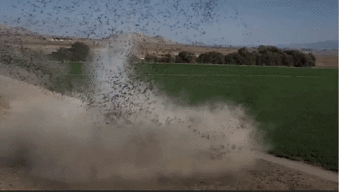 d4441 giphyupload GIF