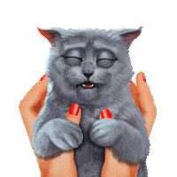 Happy Cat Sticker by G5 games