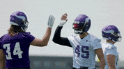 High Five Nfl GIF by Minnesota Vikings