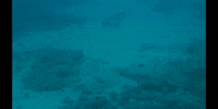 Water Education GIF by DIIMSA Stock