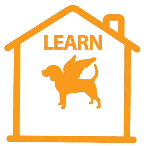 whenhoundsfly giphyupload stayhome whf learnfromhome Sticker