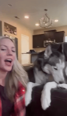 Colorado Husky Says 'I Love You' to Owner