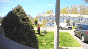 Game Of Tag Ends After Zoomie Collision GIF by ViralHog